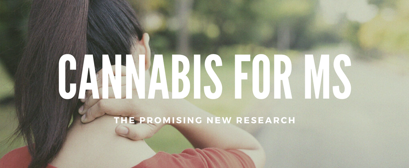 Does Cannabis Oil Help Multiple Sclerosis Pain & Spasticity? Answers